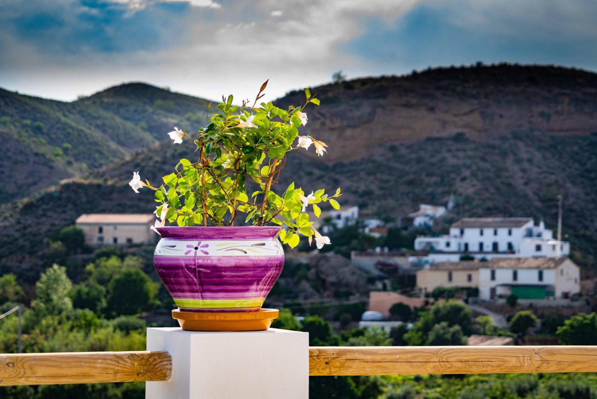 Rambla Retreats Apartment Rojo With Shared Pool & Hot Tub Stunning Views In Oria Dış mekan fotoğraf