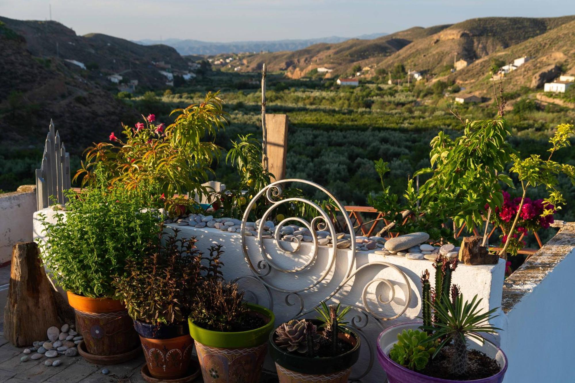 Rambla Retreats Apartment Rojo With Shared Pool & Hot Tub Stunning Views In Oria Dış mekan fotoğraf